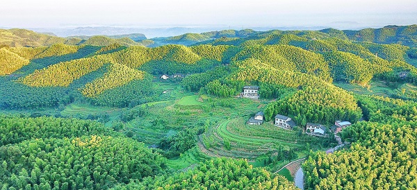 1655087129657254.jpeg e8dae20a-9cd9-47b0-a757-fec74ea62278.jpeg