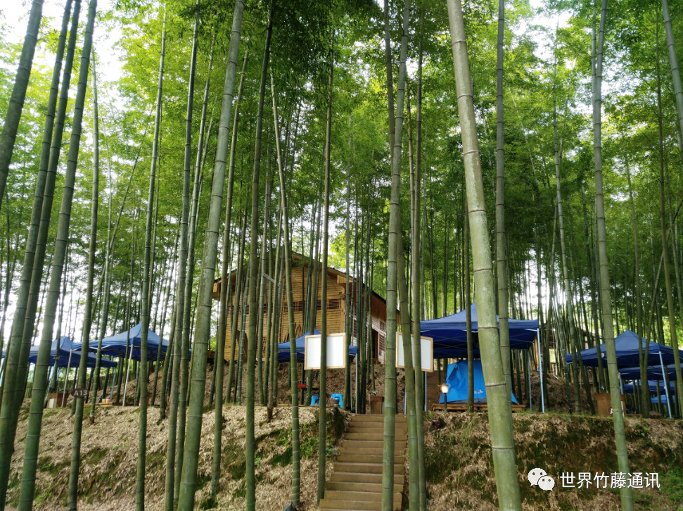 1573652878667341.jpg 1573652878667341.jpg