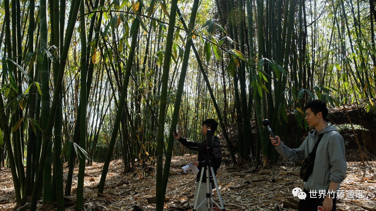 1573652933275233.jpg 1573652933275233.jpg