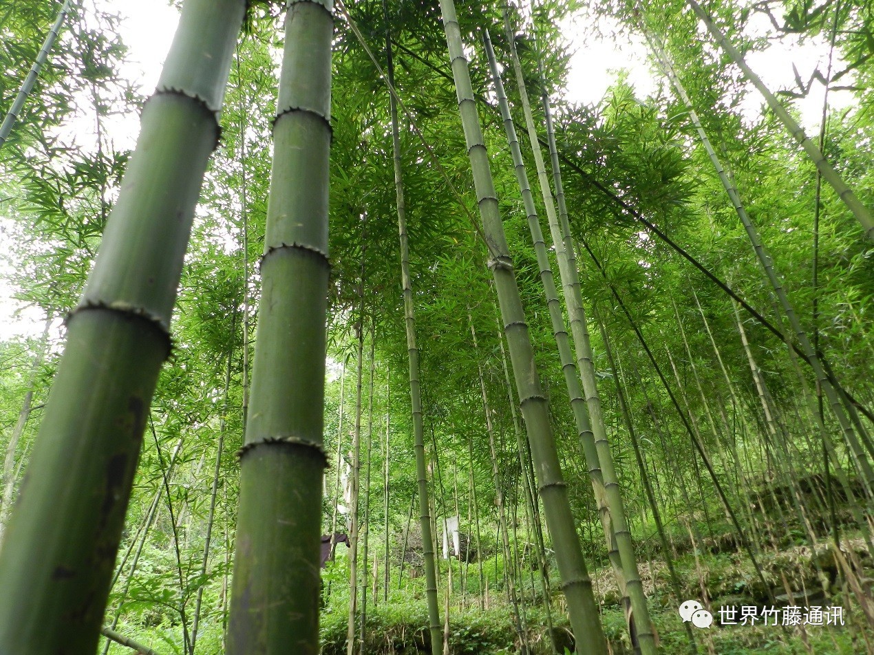 1573652912711146.jpg 1573652912711146.jpg