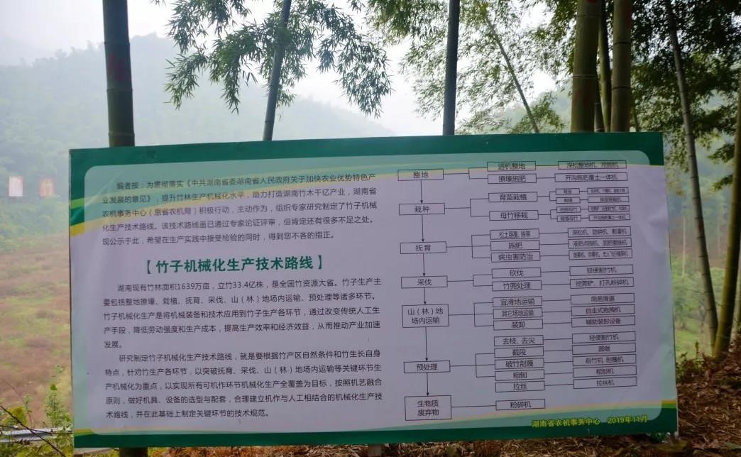 1575943376556133.jpg 竹林机械化生产技术路线 (2).jpg