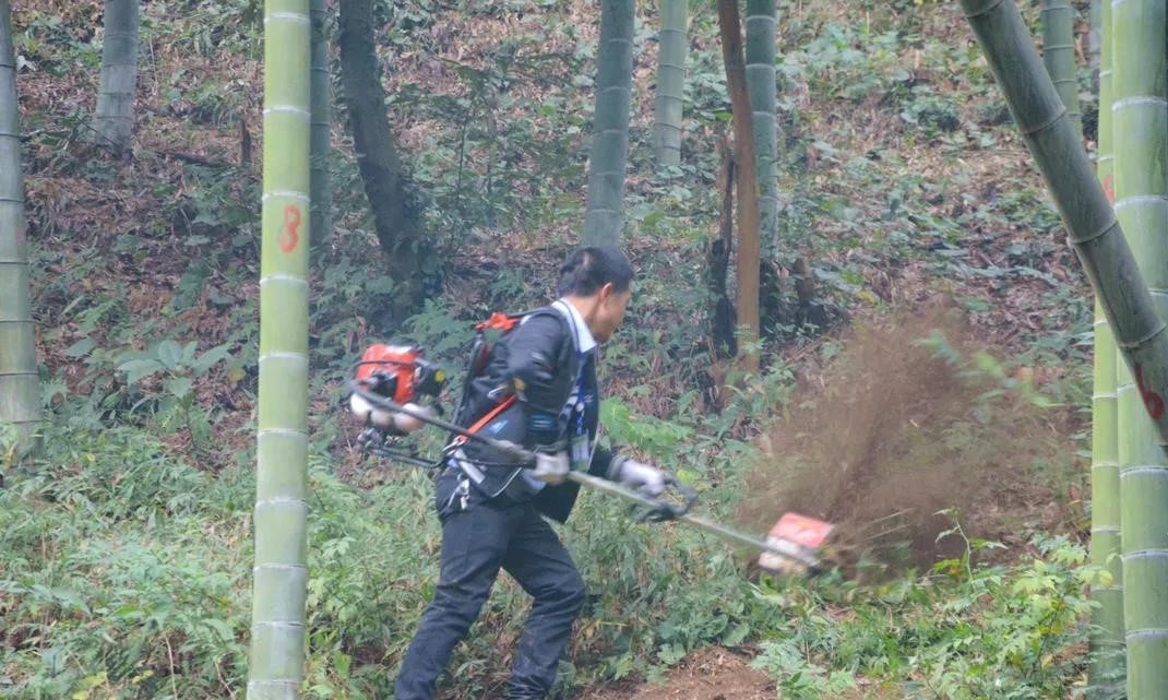 1575943412374944.jpg 竹林除杂机具展示 (2).jpg