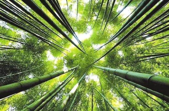 1770629472911450.png image.png