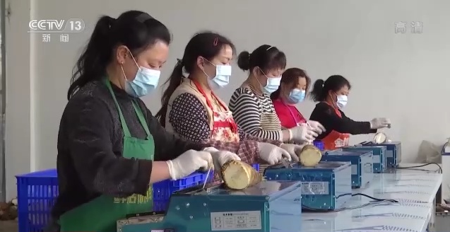 1770634225867086.png image.png