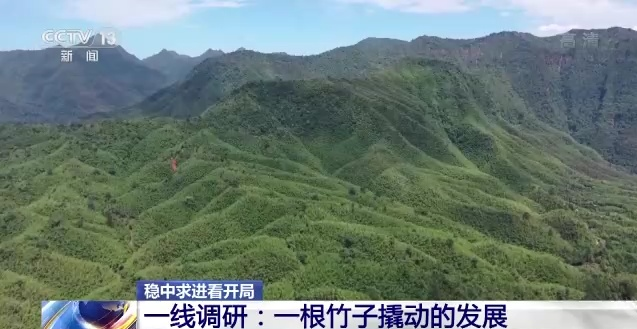 1770634305480007.png image.png