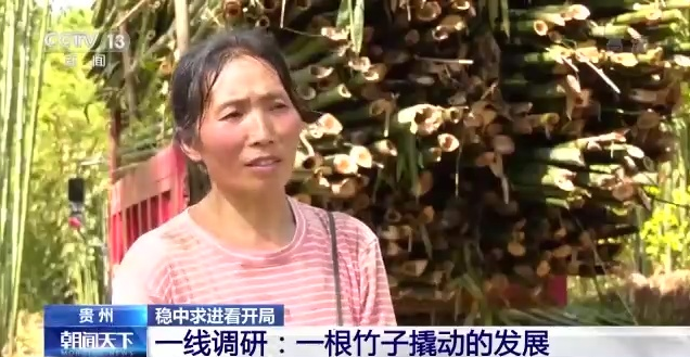 1770634336961650.png image.png