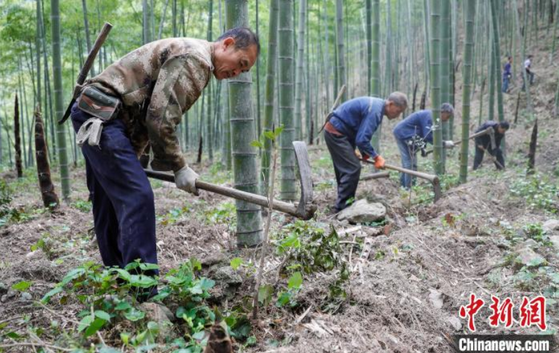 1770686390325729.png image.png