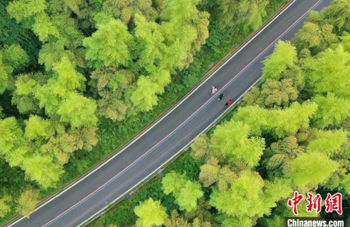 1770686510862345.png image.png