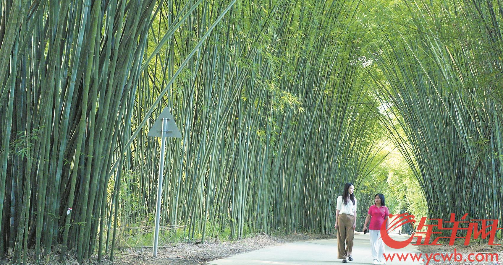 1659661060515228.jpg 金羊网1.jpg