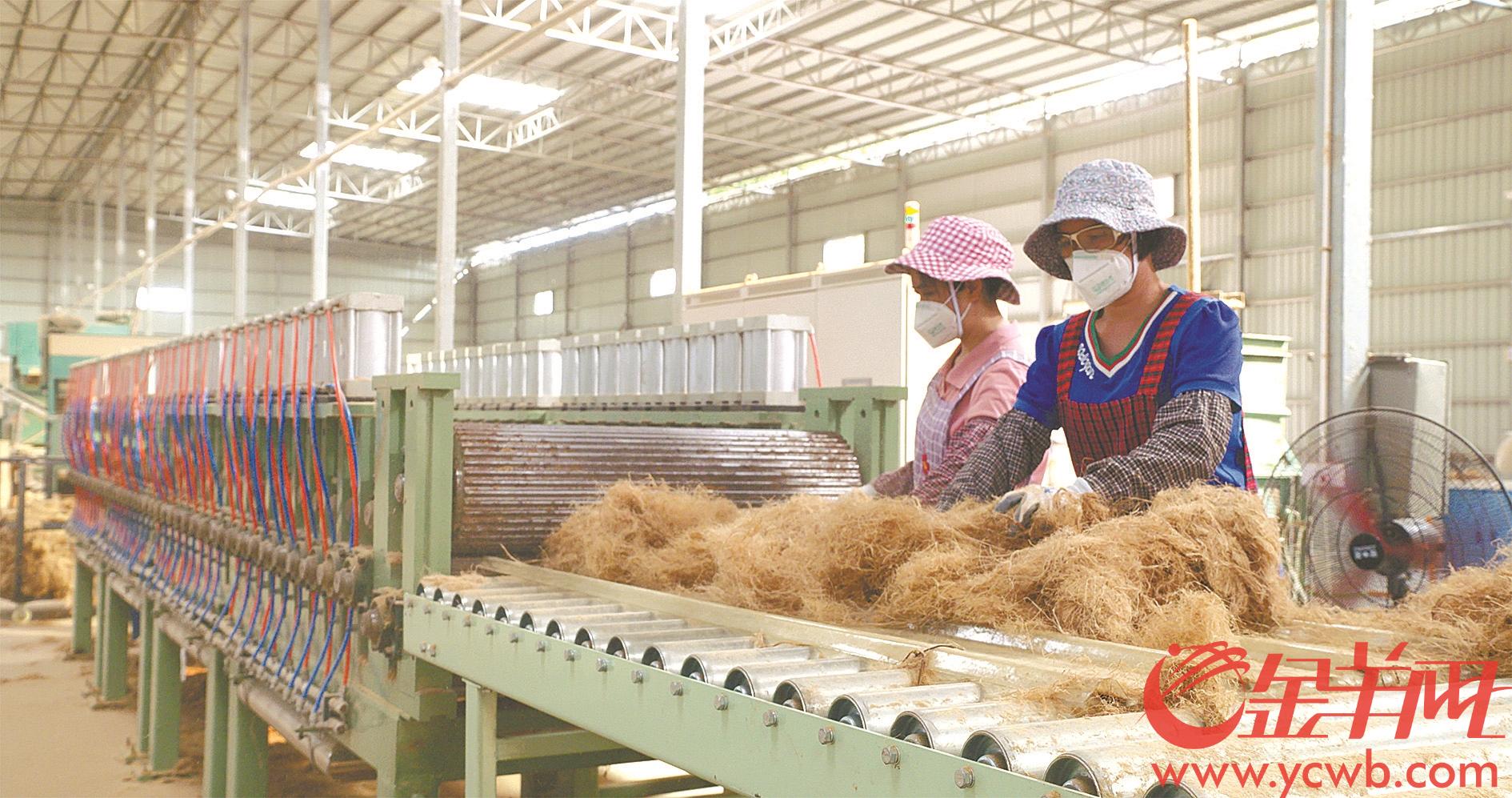 1659661381209396.jpg 金羊网3.jpg