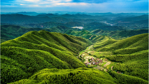 1662600705596966.png image.png