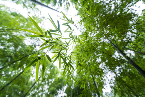 1662600795139688.png image.png