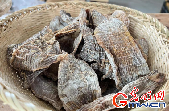 1770690596347536.png image.png