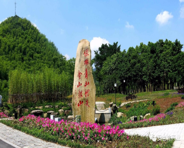 1770779552897924.png image.png